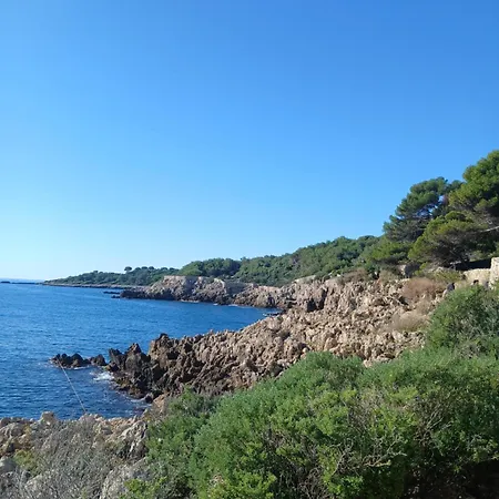 L'olivaie *