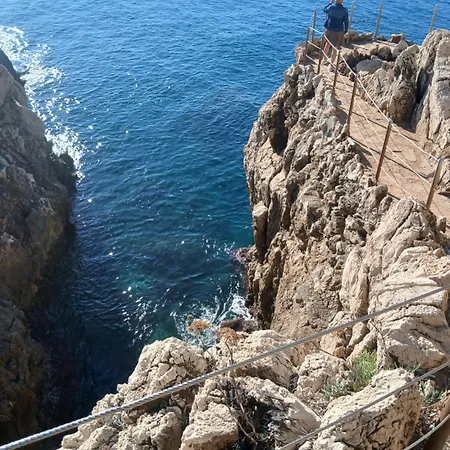 L'olivaie * Antibes